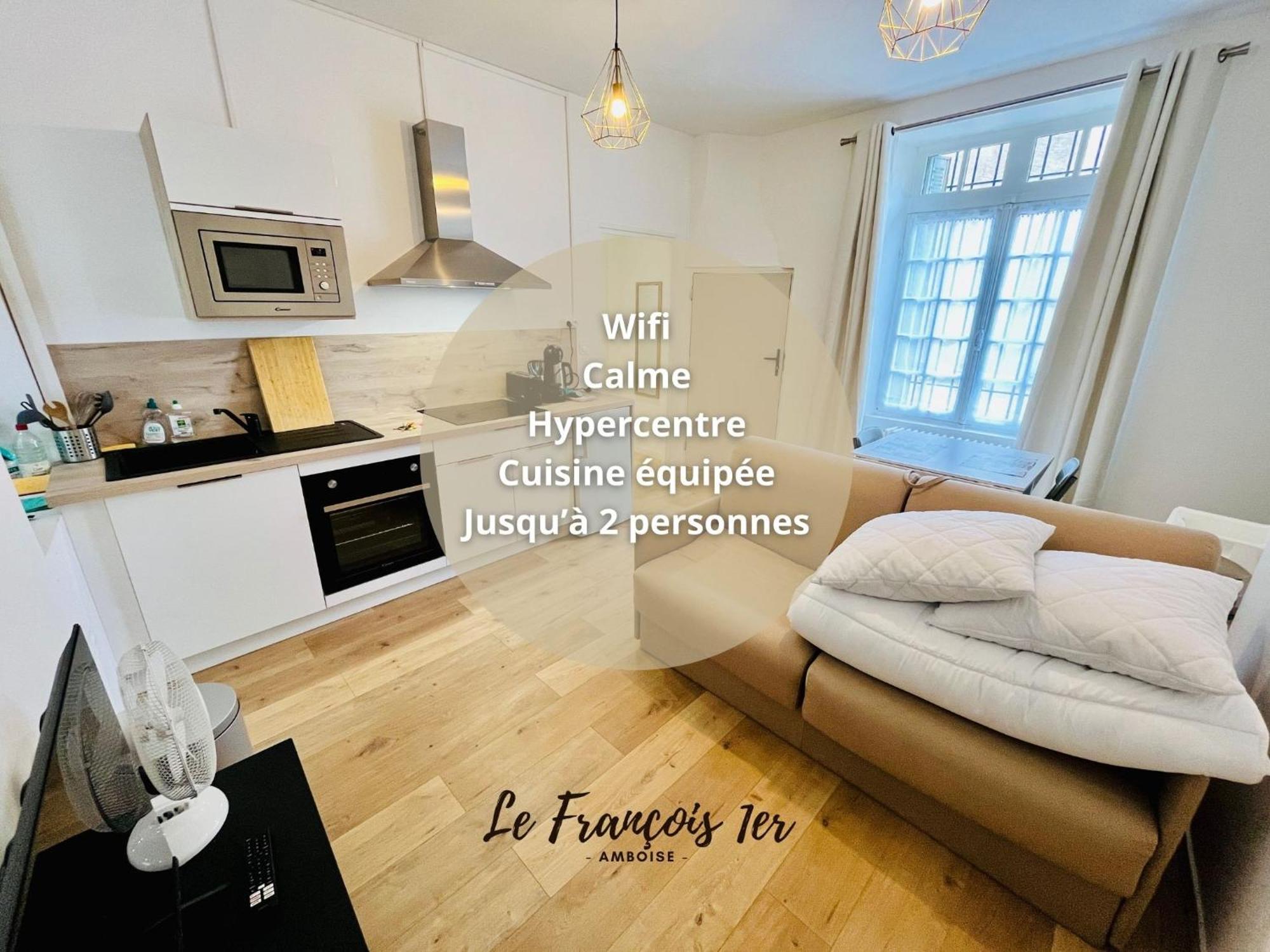 Le Francois 1Er - Studio Entre Loire Et Chateau Royal - Manoir De La Concorde Amboise Exterior photo